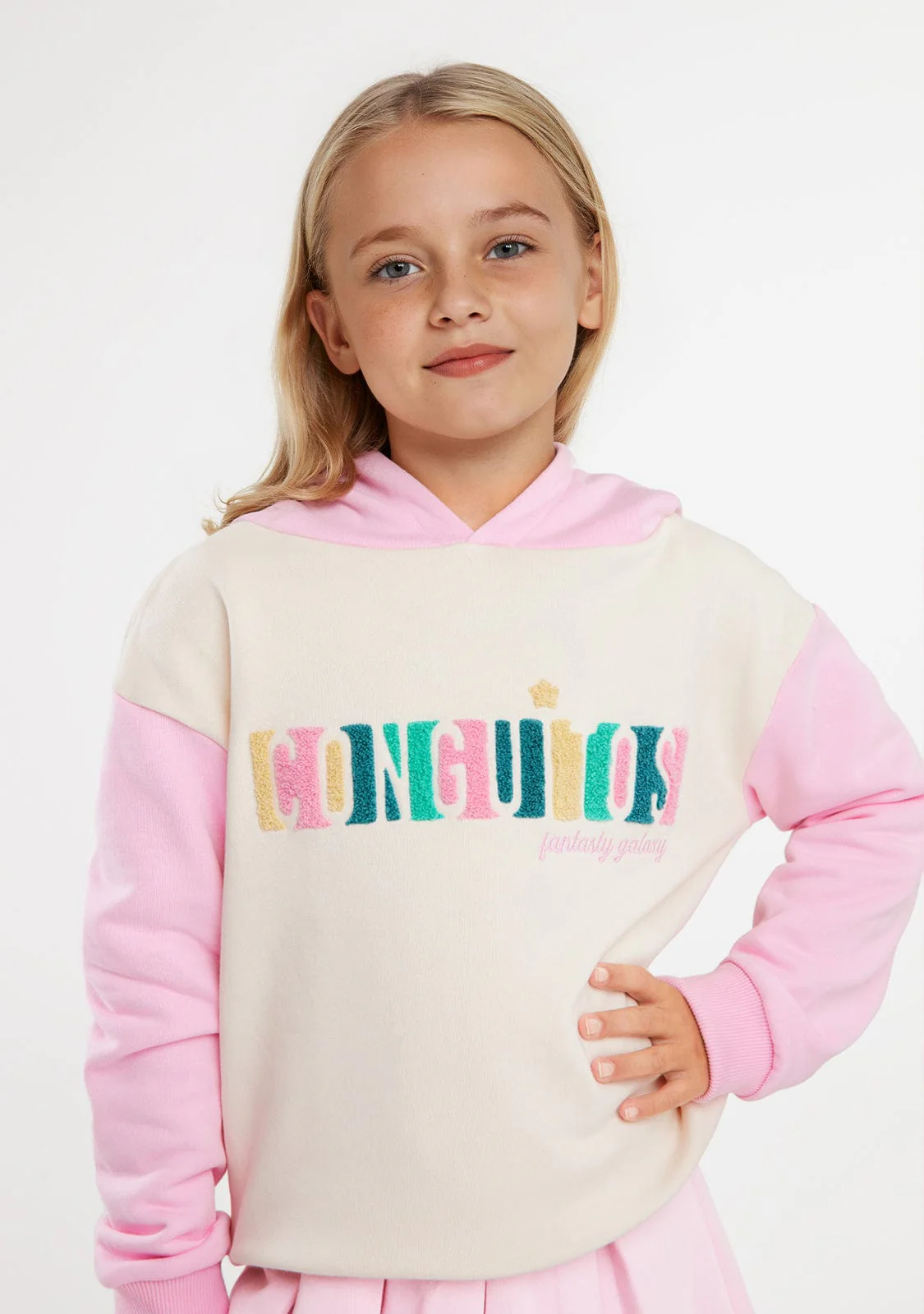 Multicolour Plush Embroidery Hoddie