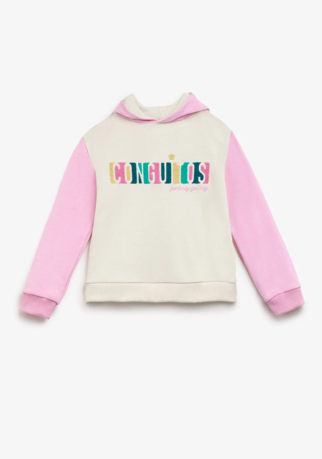Multicolour Plush Embroidery Hoddie - Image 2