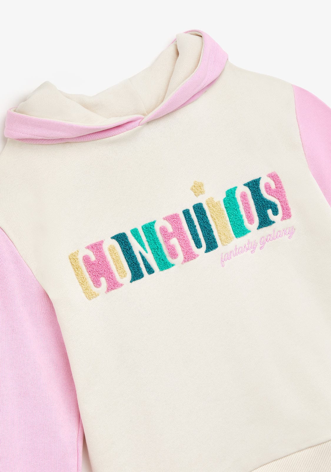 Multicolour Plush Embroidery Hoddie - Image 3